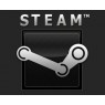 Steam